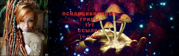 кокаин перу Заводоуковск