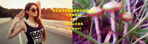 трава Заволжск